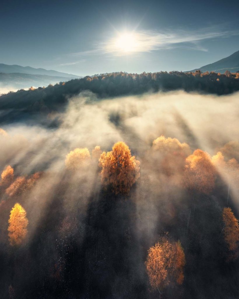 aerial-view-of-beautiful-orange-trees-on-the-hill-8ZMYC5U.jpg
